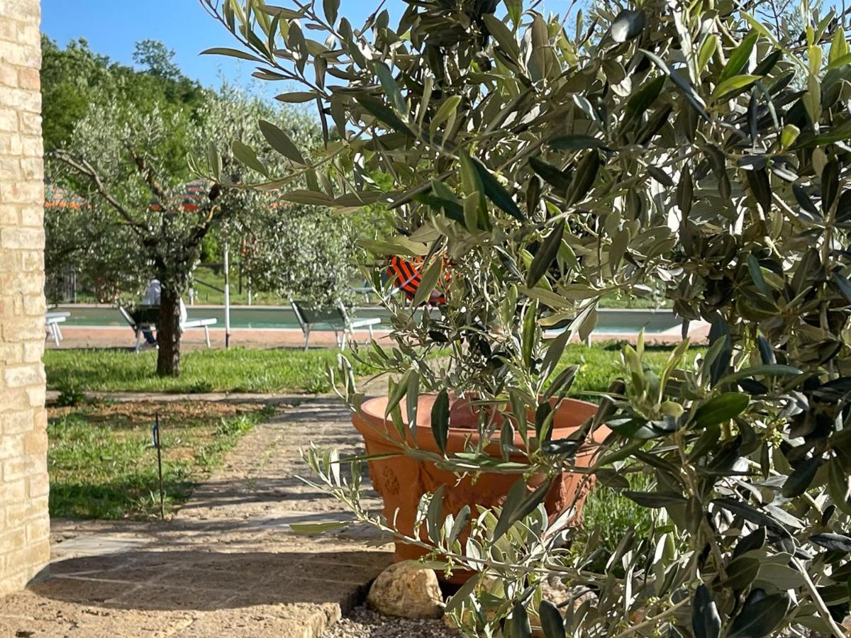 Exclusive Villa With Pool Borgo Pian Di Sala San Gimignano Exterior foto